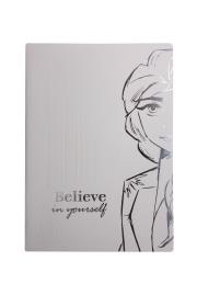 Opakowanie Zeszyt A4 60 k. kratka Disney 100 - wzór 2