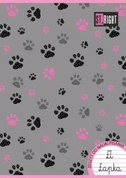 Opakowanie Zeszyt A4 w linie podwójną dwukolorową 32 kartki 15 sztuk