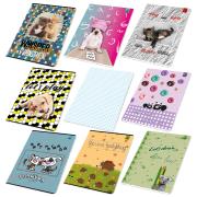 Zeszyt A5 16 k. w kratkę Best Friend paczka 20 szt.. Wydawca: EV-Corp. Dadada.pl Opakowanie Zeszyt A5 16 k. w kratkę Best Friend paczka 20 szt.