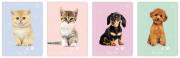 Opakowanie Zeszyt A5/16K kolorowa trzylinia Puppy Sign(20szt)
