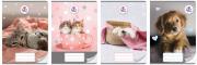 Opakowanie Zeszyt A5/16K kratka The Sweet Pets (20szt)