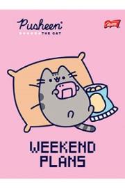 Opakowanie Zeszyt A5 32k. 3-linia linia dwukolorowa PUSHEEN mix pakiet 15 szt.