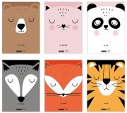 Opakowanie Zeszyt A5/32K kolorowa trzylinia BB (10szt)