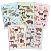 Opakowanie Zeszyt A5/32K linia Zwierzęta PP (5szt)