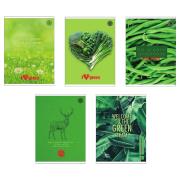 Opakowanie Zeszyt A5/60K kratka Think Green (10szt)