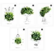 Opakowanie Zeszyt A5/60K kratka Think Green (10szt)