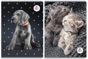 Opakowanie Zeszyt A5/60K linia The Sweet Pets (5szt)