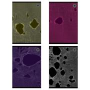 Opakowanie Zeszyt A5/80K kratka Tear (5szt)