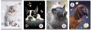 Opakowanie Zeszyt A5/80K kratka The Sweet Pets (5szt)
