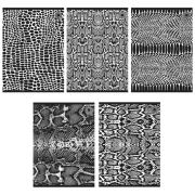 Zeszyt A5/80K linia Snakes 1 (5szt). Wydawca: Ziemia Obiecana. Dadada.pl Opakowanie Zeszyt A5/80K linia Snakes 1 (5szt)