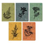 Opakowanie Zeszyt By Nature - Herbs A5 64 LINIA Z MARGINESEM