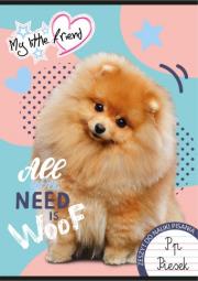 Opakowanie Zeszyt do nauki pisania A4 32k. 3-linia kolorowa my little friend mix. pakiet 15 szt.