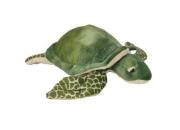 Opakowanie Żółw 24cm