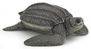Opakowanie Żółw skórzasty