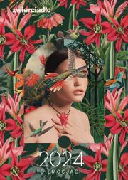 Okładka książki Zwierciadło 2024 o emocjach - uszkodzone