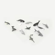 Opakowanie Zwierzęta oceaniczne 12szt.