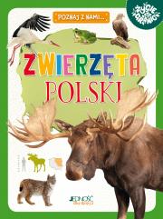 Zwierzęta Polski. Autor: Zagnińska Maria. Dadada.pl Okładka książki Zwierzęta Polski