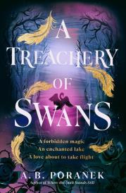 Okładka książki A Treachery of Swans