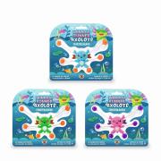 Aksolotl biegacz okienny 1szt.mix. Wydawca: TRENDHAUS. Dadada.pl Opakowanie Aksolotl biegacz okienny 1szt.mix