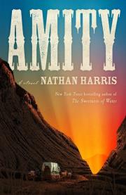 AMITY wer. angielska. Autor: Nathan Harris. Dadada.pl Okładka książki AMITY wer. angielska