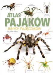 Okładka książki Atlas Pająków