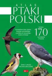 Atlas ptaków Polski. Autor: Przybyłowicz Anna, Przybyłowicz Łukasz. Dadada.pl Okładka książki Atlas ptaków Polski