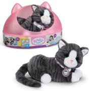 Baby born - My Cat Cookie. Wydawca: Zapf. Dadada.pl Opakowanie Baby born - My Cat Cookie