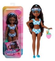 Opakowanie Barbie Dream Besties Brooklyn