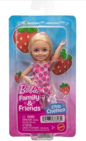 Opakowanie Barbie Family & Friends Doll