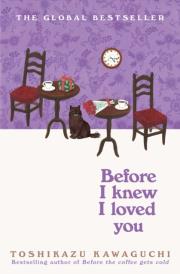 Okładka książki Before I Knew I Loved You