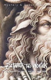 Okładka książki Between Two Worlds. Tales of Mystery & The Supernatural wer. angielska