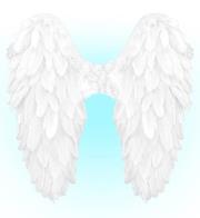 Opakowanie Białe skrzydła naturalne pióra