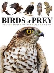 Birds of Prey. Autor: Jackson Tom. Dadada.pl Okładka książki Birds of Prey