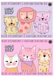 Opakowanie Blok rysunkowy A4/15K biały Genius Kitty (10szt)