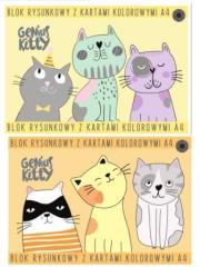 Opakowanie Blok rysunkowy A4/15K kolor Genius Kitty (10szt)