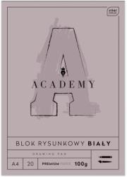 Opakowanie Blok rysunkowy A4 20 100g ACADEMY