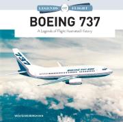 Boeing 737. Autor: Wolfgang Borgmann. Dadada.pl Okładka książki Boeing 737