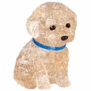 Opakowanie Crystal puzzle Pudel Morelowy