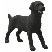 Opakowanie Czarny Labrador suczka