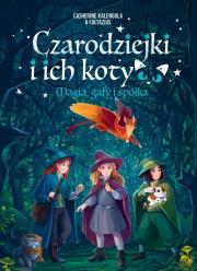 Okładka książki Czarodziejki i ich koty. Magia, gafy i spółka