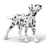 Opakowanie Dalmatyńczyk