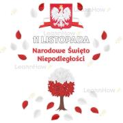 Opakowanie Dekoracja patriotyczna Narodowe Święto...XL