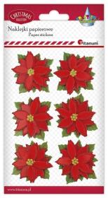 Dekoracje samoprzylepne papierowe 3D 44m 6szt. Wydawca: Titanum. Dadada.pl Opakowanie Dekoracje samoprzylepne papierowe 3D 44m 6szt