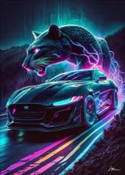 Opakowanie Diamentowa Mozaika Auto i zorza pantera NO-2000877