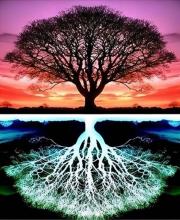 Opakowanie Diamentowa Mozaika Drzewo i odbicie NO-2001537