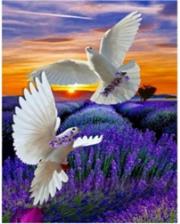 Opakowanie Diamentowa Mozaika Gołębie nad lawendowymi polami NO-1007012