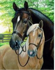 Opakowanie Diamentowa Mozaika Konie dwa zdjęcie NO-1006540