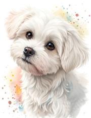 Opakowanie Diamentowa Mozaika Pies maltańczyk portret NO-2003090