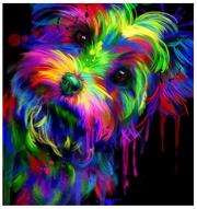 Opakowanie Diamentowa Mozaika Piesek kolorowy NO-1006294