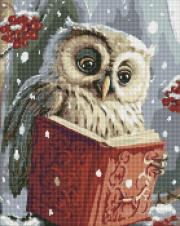 Opakowanie Diamentowa mozaika - Sprytna sowa 40x50cm